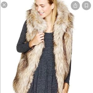Aritzia Sunday Best Faux Fur Vest